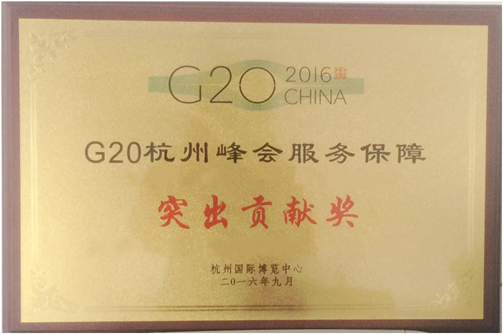 G20峰会突出贡献奖